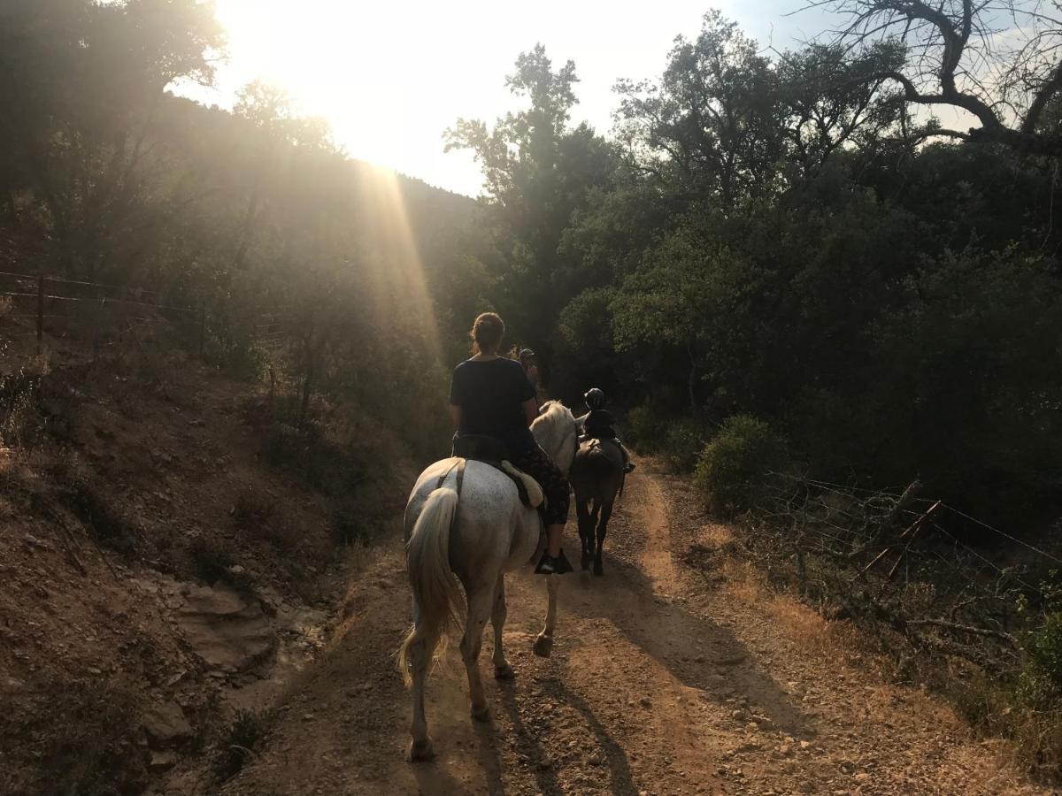 La Apanaora Hébergement de vacances Galaroza